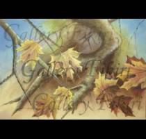 Fikiris Art- ΕΡΓΑ ΤΕΧΝΗΣ-ΚΟΡΝΙΖΕΣ-ΚΑΘΡΕΦΤΕΣ